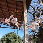 La Campagna Di Manuel בית נופש טוליה