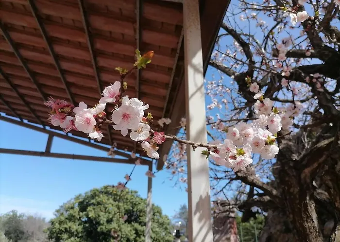 La Campagna Di Manuel Nyaraló Tuglie
