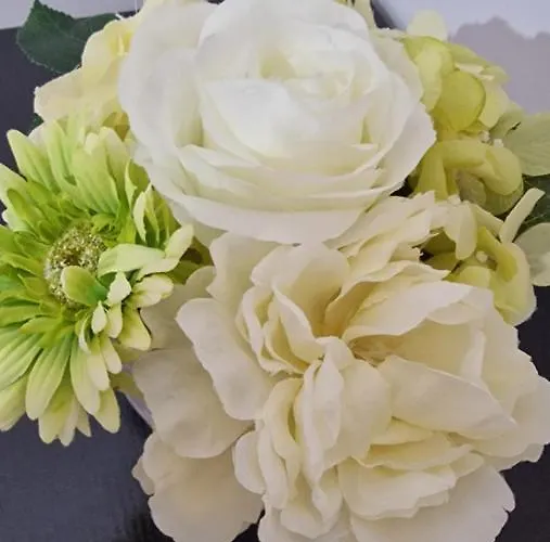 Tatil Evi La Campagna Di Manuel