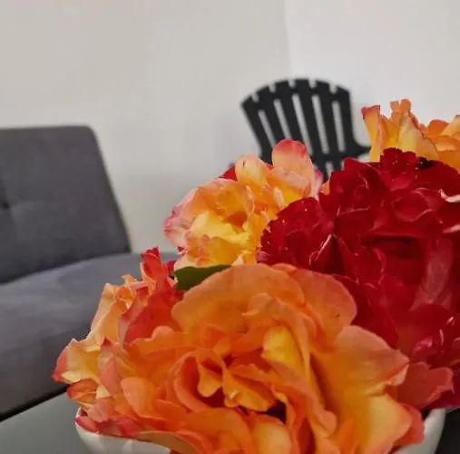 펜션 La Campagna Di Manuel *